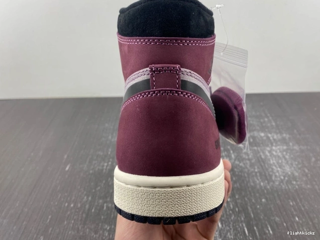 Jordan Gore-Tex Air Element 1 DB2889-500 0724